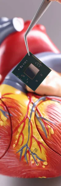 Hand inserting microchip into artificial heart mockup using tweezers closeup. Modern possibilities of cardiac surgery concept