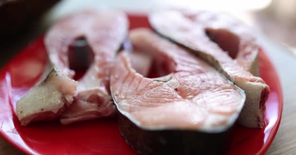 Primer Plano Rodajas Frescas Carne Salmón Rica Proteínas Plato Beneficios — Vídeo de stock