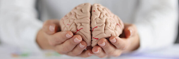 Крупный план женщины, держащей на руках два кусочка человеческого мозга, женский проявляет полноту в человеческом разуме. Способность мыслить ясно, умно, умно, концепция образования