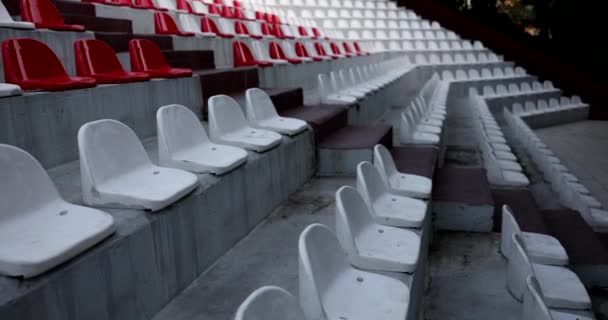 Üres Székek Arénában Vagy Előadóteremben Vörös Fehér Széksorok Stadionban Nézők — Stock videók