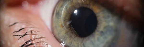 Close-up of beautiful green woman eye with mascara makeup on eyelashes. Macro shot of human eye looking away. Ophthalmology, oculist, beauty, optic concept