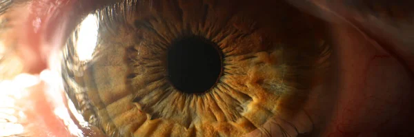 Human Eye Detail Macro Photography Brown Eyes Human Vision Health — Stock Photo, Image