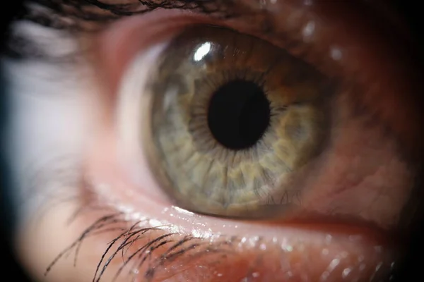 女性の緑の目のマクロ写真 クローズアップ 健康な網膜 レンズ選択 開いて見える 恒久的な化粧 — ストック写真