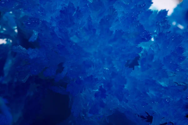 Closeup Ice Glass Winter Pattern Form Leaves Frozen Ice Macro — Stock Photo, Image