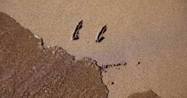 Kuma çizilen komik surat deniz dalgalarıyla yıkanıyor. Kuma gülümseyen bir gülümseme ve tatildeki turistlerin pozitif ruh hali.