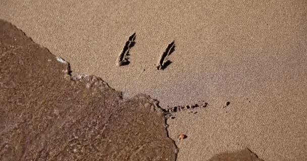 砂の上に面白い顔を描く海の波で洗い流す 砂の上に笑顔と休暇中の観光客の肯定的な気分を描いた — ストック動画