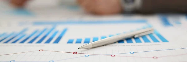 Silver Pen Lies Report Diagram Close Blurry Financial Result Statistical — Stock Photo, Image