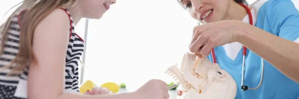 Lékař Klinice Učí Dětskou Anatomii Model Lebky Krčních Obratlů Detailní — Stock fotografie