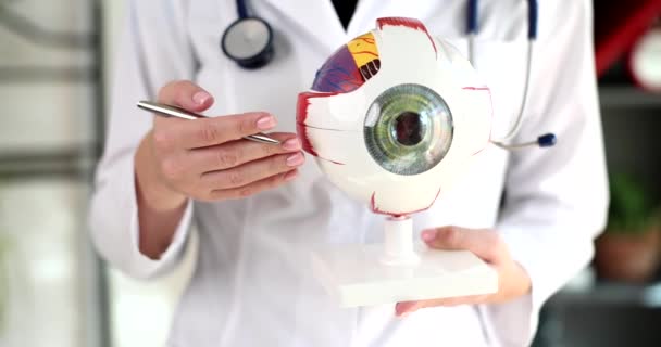 Oftalmologista Está Segurando Parte Amostra Olho Olho Modelo Cuidados Saúde — Vídeo de Stock