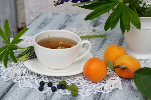 Cup of linden tea with apricots and blueberries — Stock Photo, Image