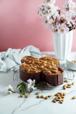 Kolombiya - geleneksel İtalyan paskalya güvercini pastası, fındık bazlı jöle ile dekore etme süreci, badem serpiştirme, kadın el çırpma.