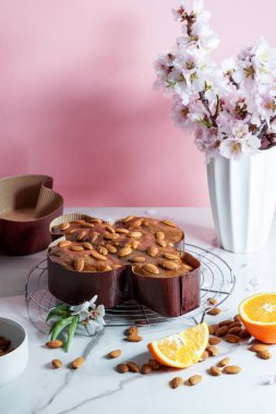 Kolombiya - geleneksel İtalyan paskalya güvercini pastası, fındık bazlı jöle ile dekore etme süreci, badem serpiştirme, kadın el çırpma.