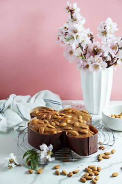 Kolombiya - geleneksel İtalyan paskalya güvercini pastası, fındık bazlı jöle ile dekore etme süreci, badem serpiştirme, kadın el çırpma.