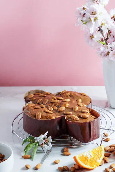 Colomba Traditionele Italiaanse Paasduif Taart Proces Van Versieren Met Hazelnoot — Stockfoto