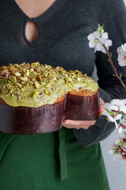 Kadında Kolomba di Pasqua, el çırpma, geleneksel İtalyan paskalya güvercini pastası, yeşil şam fıstığı jölesi, taze bahar çiçekleri, pasqua keki.