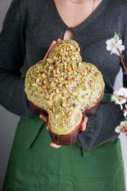 Kadında Kolomba di Pasqua, el çırpma, geleneksel İtalyan paskalya güvercini pastası, yeşil şam fıstığı jölesi, taze bahar çiçekleri, pasqua keki.