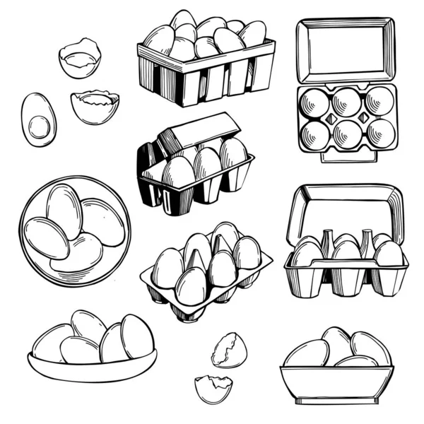 Ovos Frango Desenhados Mão Desenho Vetorial Ilustração —  Vetores de Stock