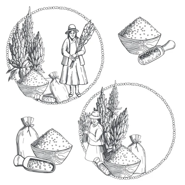 Hand Drawn Quinoa Set Plants Seeds Peasant Women Harvest Super — Stock Vector