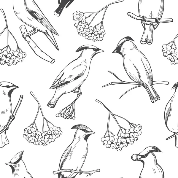 Pájaros Encerados Dibujados Mano Sobre Fondo Blanco Patrón Sin Costura — Archivo Imágenes Vectoriales