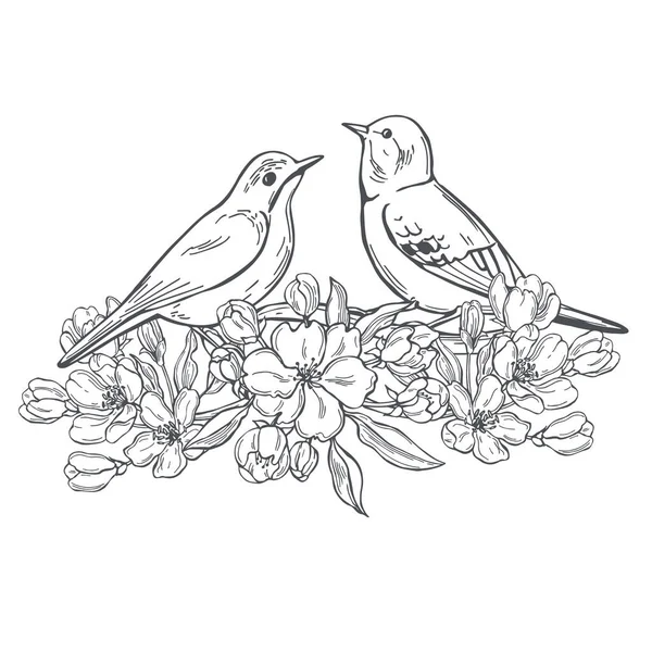 Pájaros Flores Primavera Dibujados Mano Dibujo Vectorial Ilustración — Archivo Imágenes Vectoriales