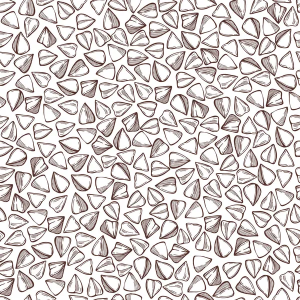 Beyaz arka planda elle çizilmiş karabuğday bitkisi. Vektörsüz desen.