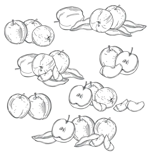 Mele Disegnate Mano Frutta Fondo Bianco Illustrazione Schizzo Vettoriale — Vettoriale Stock
