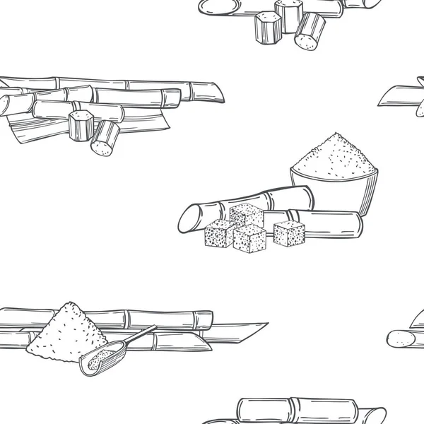 Caña Azúcar Dibujada Mano Sobre Fondo Blanco Patrón Sin Costura — Archivo Imágenes Vectoriales