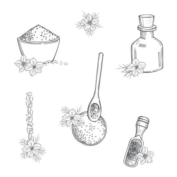 Conjunto Comino Negro Dibujado Mano Flores Aceite Semillas Dibujo Vectorial — Vector de stock