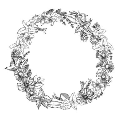 El yapımı şifalı bitkilerden oluşan bir çelenk. Vektör çizimi çizimi.