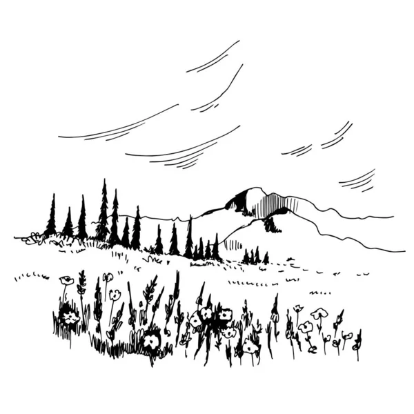 Paysage Dessiné Main Avec Prairie Montagnes Illustration Croquis Vectoriels — Image vectorielle