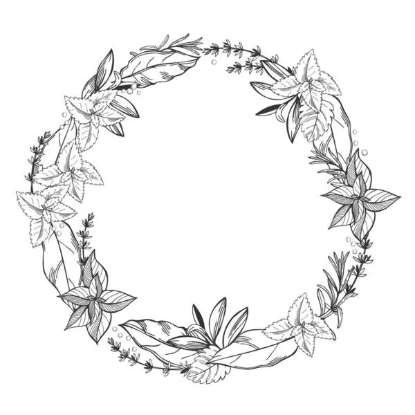 Hand Drawn Wreath Spicy Herbs Vector Sketch Illustration — Stock Vector