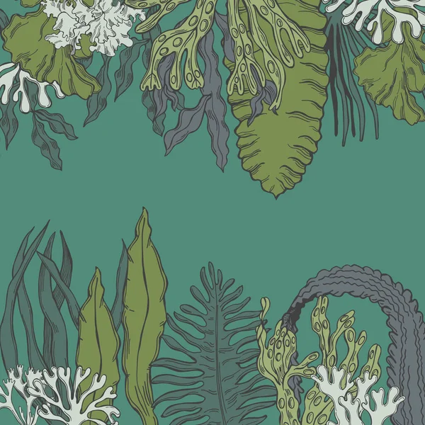 Hand Drawn Edible Algae Vector Background Stock Illustration