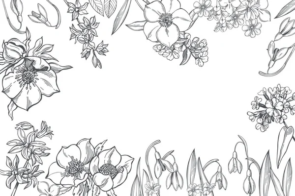 Fundo Vetorial Com Flores Primavera Desenhadas Mão Desenho Ilustração —  Vetores de Stock