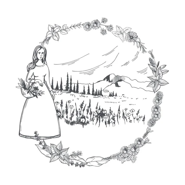 Hand Drawn Girl Herbalist Background Field Flowers Circle Herbs Medicinal Royalty Free Stock Illustrations