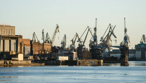 Cargo cranes in St.Petersburg — Stock Photo, Image