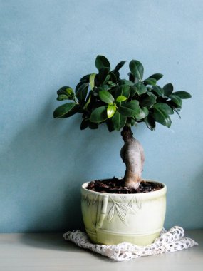 süslemek için öğeler