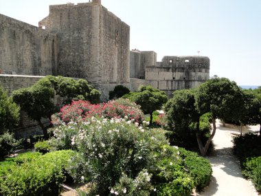 Hırvatistan dubrovnik