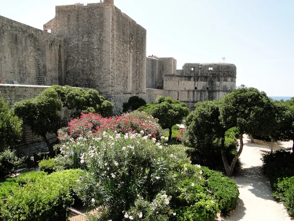 Kroatien dubrovnik — Stockfoto