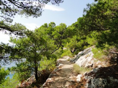 Hırvatistan Adriyatik kıyısı