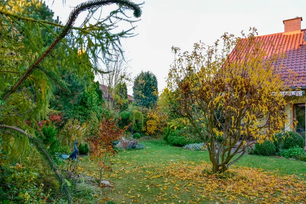 Belo Jardim Cores Ricas Outono Com Cores Vermelhas Amarelas Laranja — Fotografia de Stock