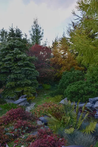 Ein Schöner Garten Satten Herbstfarben Mit Roten Gelben Und Orangen — Stockfoto