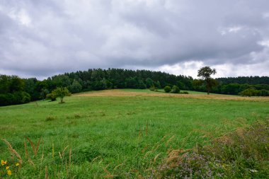 Bieszczady Dağları, güzel doğal manzara Bir yaz öğleden sonra yağmurda. 