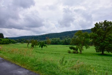 Bieszczady Dağları, güzel doğal manzara Bir yaz öğleden sonra yağmurda. 