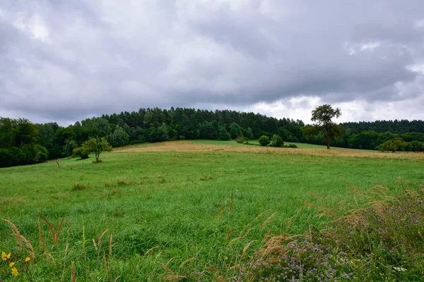 Bieszczady Dağları, güzel doğal manzara Bir yaz öğleden sonra yağmurda. 