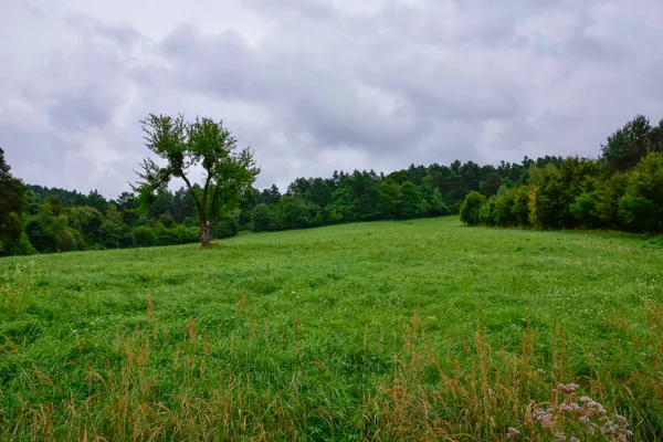 Montagne Bieszczady Bellissimo Paesaggio Naturale Pomeriggio Estate Sotto Pioggia — Foto Stock