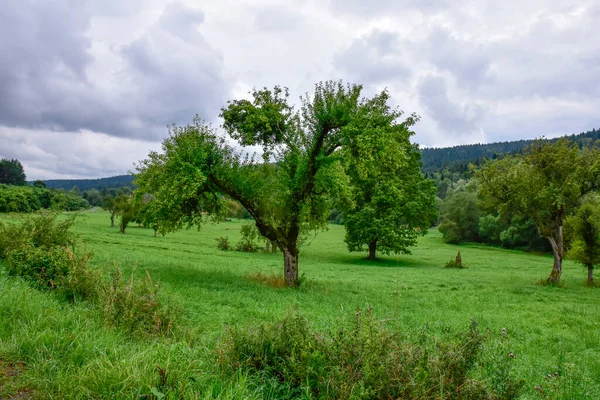 Bieszczady Dağları, güzel doğal manzara Bir yaz öğleden sonra yağmurda. 