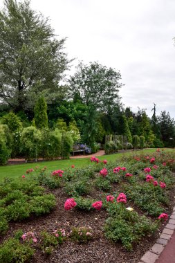 Show gardens, grass garden, summer garden, flower pots, gazebos, pond, flowers, molded plants.