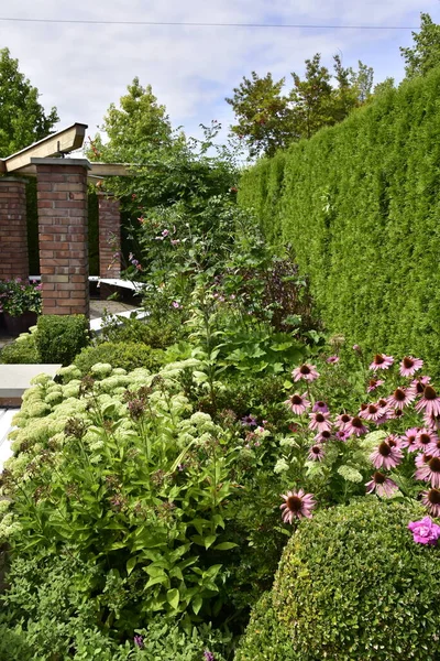 Show garden, an English garden full of summer flowers blooming and green plants, surrounded by a red brick wall.