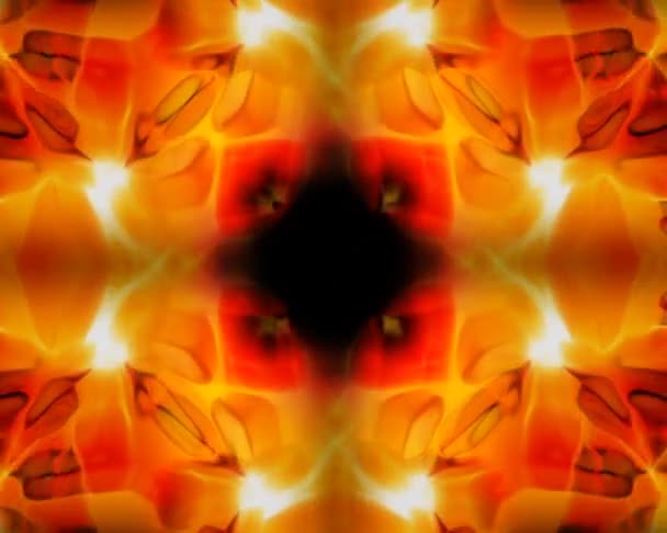 Boucle VJ 