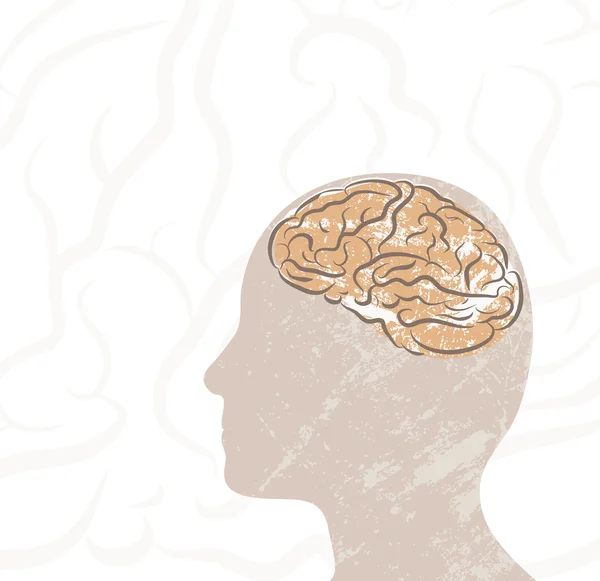 Tête et cerveau — Image vectorielle